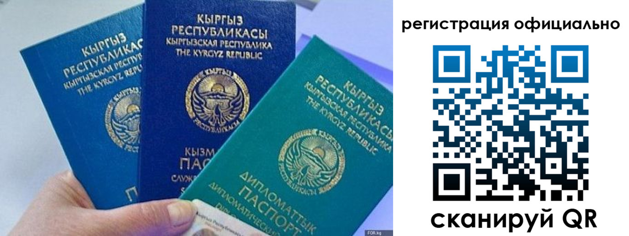 прописка в Чкаловске